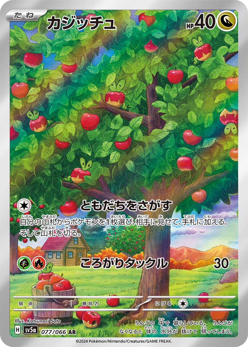 カジッチュ AR 077/066 SV5a